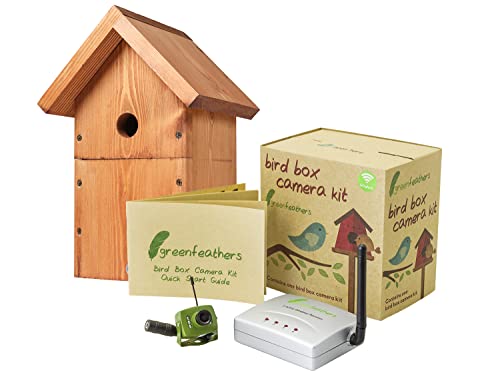 Green Feathers Complete DIY Timber Bird Nest Box with Wireless SD 700TVL Video Camera Kit, Includes Power Extension Cable and RCA to HDMI Adapter