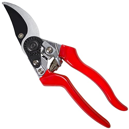 Darlac Professional Left Hand Pruner - Reversed Blade & Left Thumb Action Catch for Left-Handed Use - Razor Sharp SK5 High Carbon Steel Blade - Rust Resistant