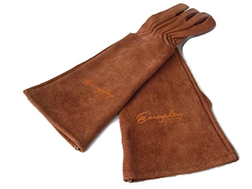 Thorn Proof Goatskin Leather - Rose Pruning Gloves
