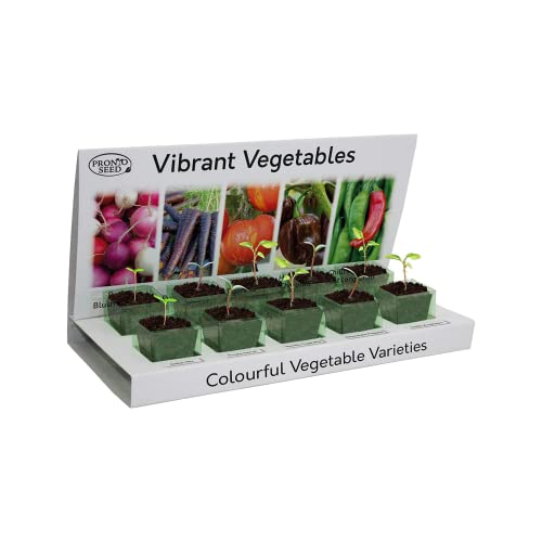 Home Seed Growing Kit