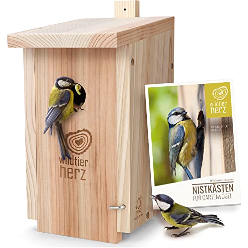 Nesting Box For Blue and Coal Tits