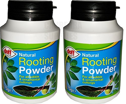 2 x DOFF NATURAL ROOTING POWDER FOR EDIBLE PLANTS & CUTTINGS 75G - DIPPING POT