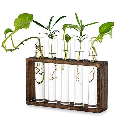 Tabletop Hanging Glass Planter Propagation Station Modern 5 Test Tube Flower Bud Vase in Wood Stand Rack Tabletop Terrarium for Hydroponic Plants Cuttings Office Home Decoration, Gift for Plant Lover