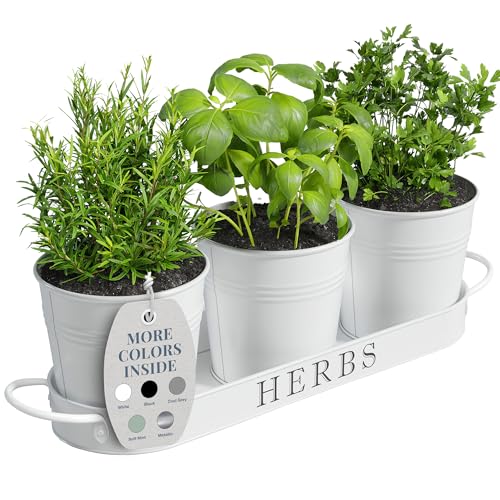 Barnyard Designs Herb Pot Planter Set with Tray for Indoor Garden or Outdoor Use, Decorative White Metal Succulent Potted Planters for Kitchen Windowsill