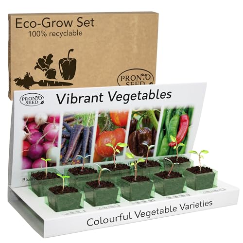 Home Seed Growing Kit