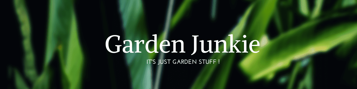 what-to-do-in-the-garden-garden-junkie