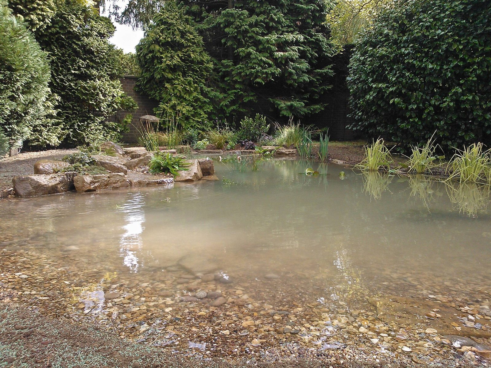 How To Build a Large Wildlife Pond - Wildlife Pond