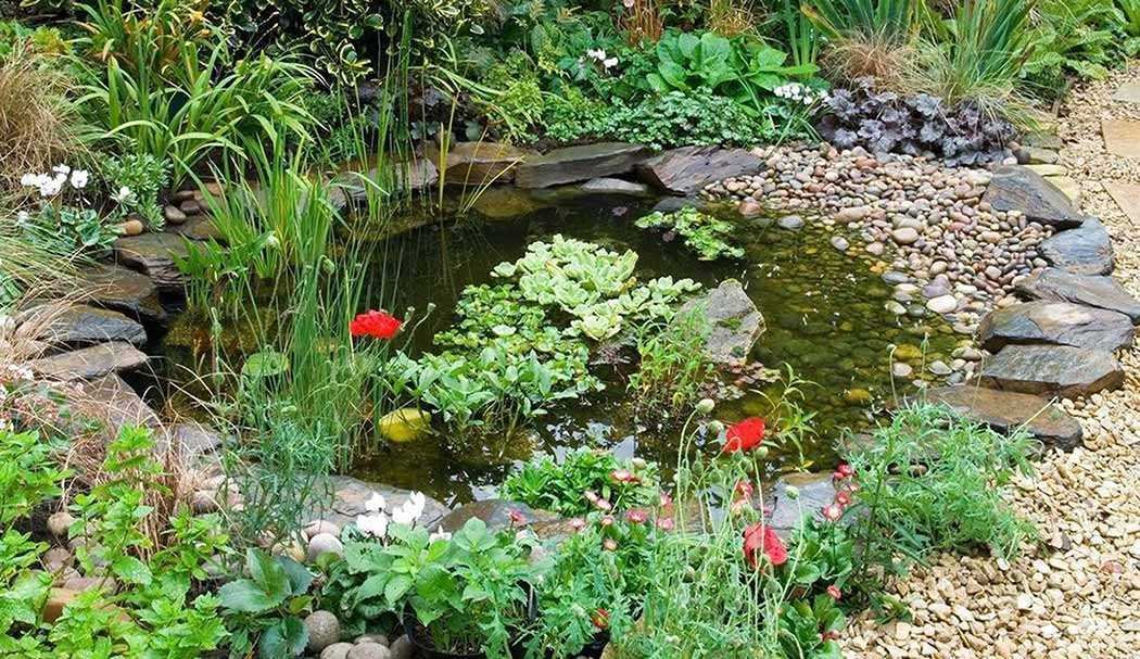 How To Build A Large Wildlife Pond | Garden Junkie