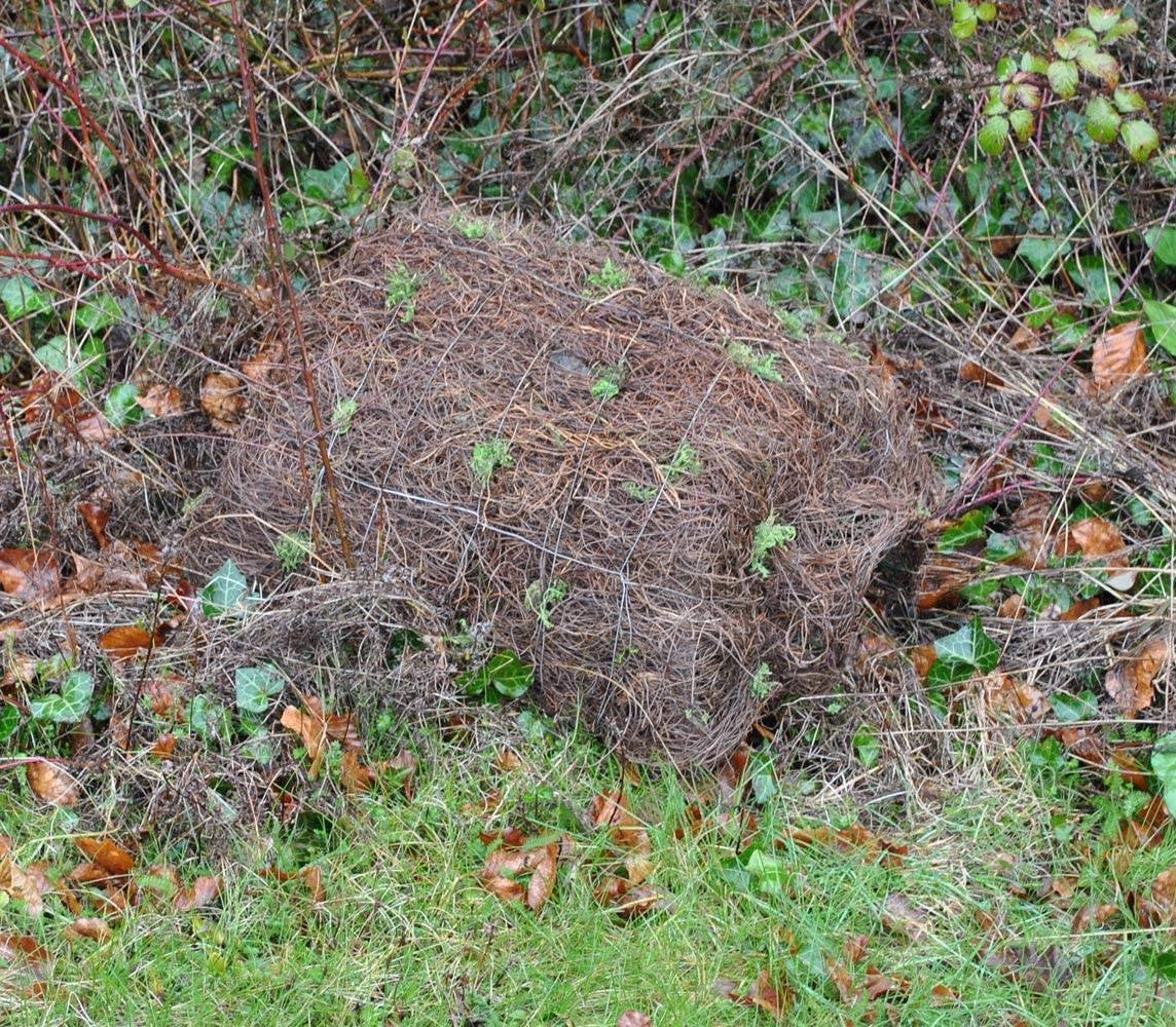 Brushwood Hogitat - Hedgehog House