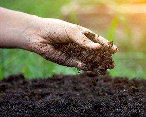 How to find out my soil type - Feeling Soil with a hand