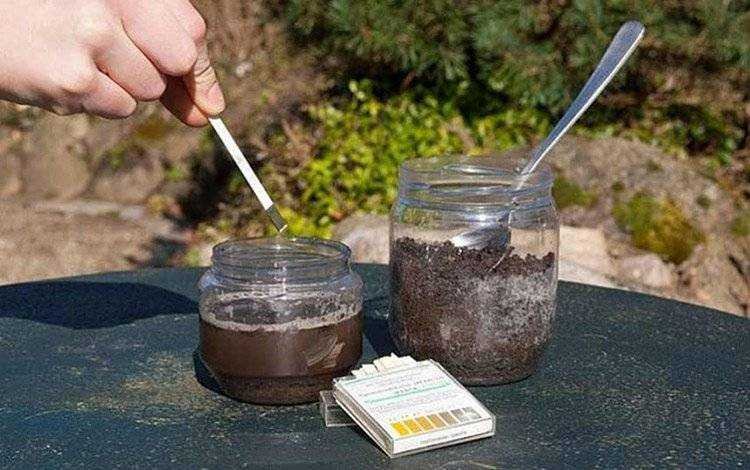 Ph testing of soils