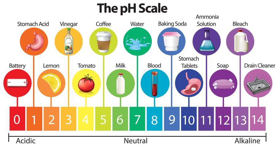 pH Scale by Vecteezy