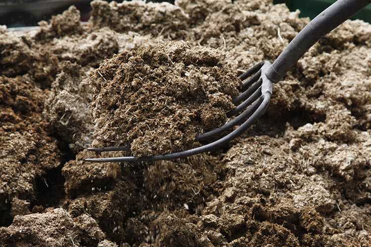 How to improve your soil for gardening - Fork turn organic matter