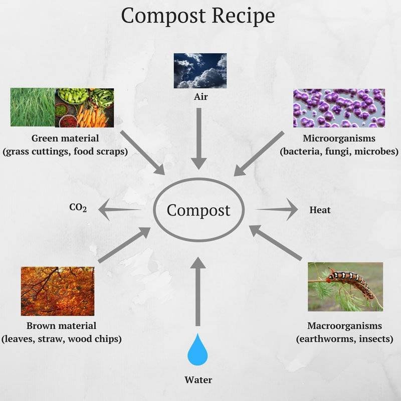 How to make a compost heap - compost heap - Compost Recipe