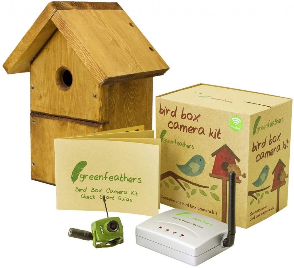 6 Birdbox Cameras - A Comprehensive Guide | Garden Junkie