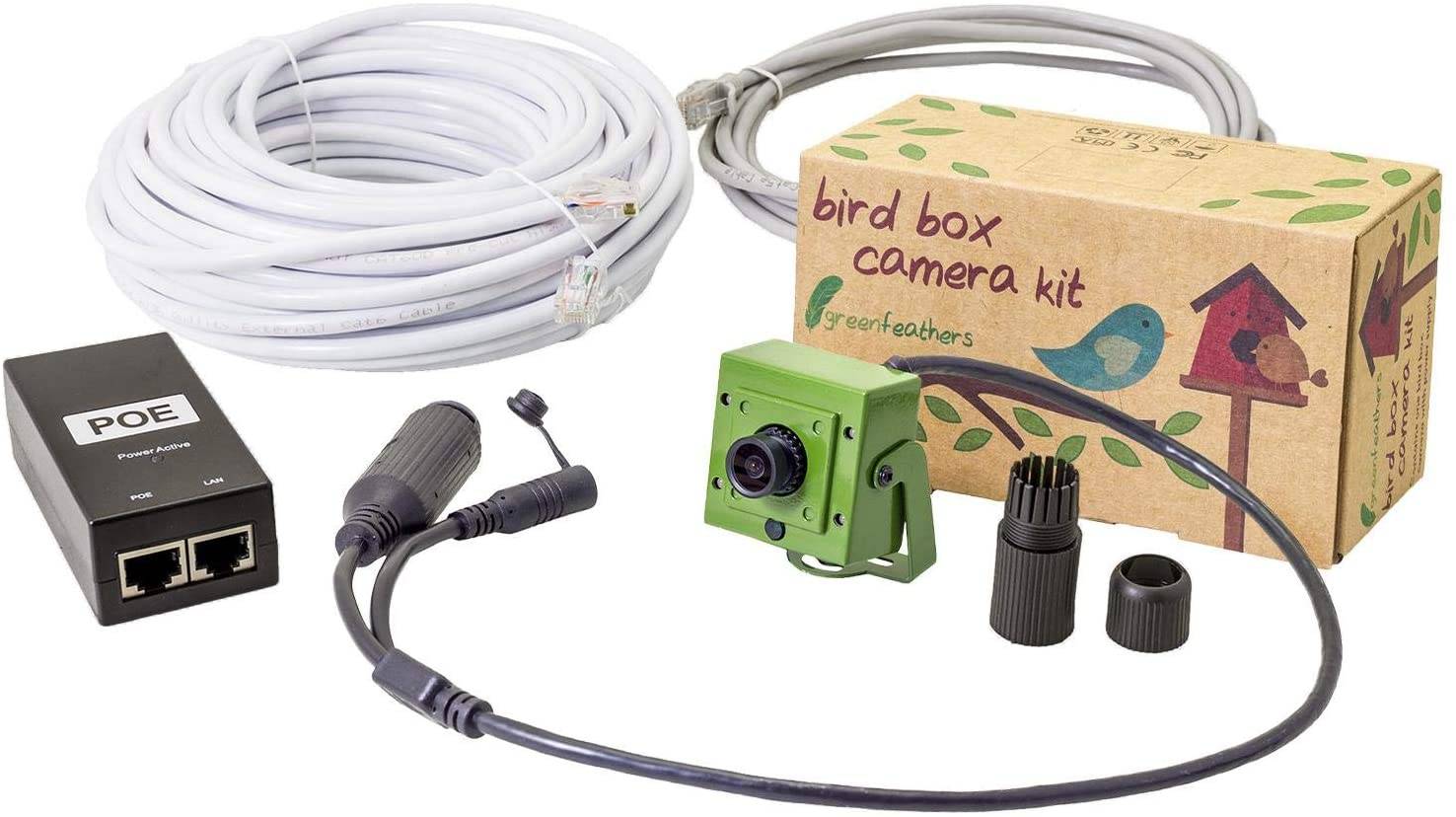 Green Feathers Birdbox Camera