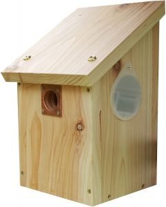 Wooden Camera Birdbox