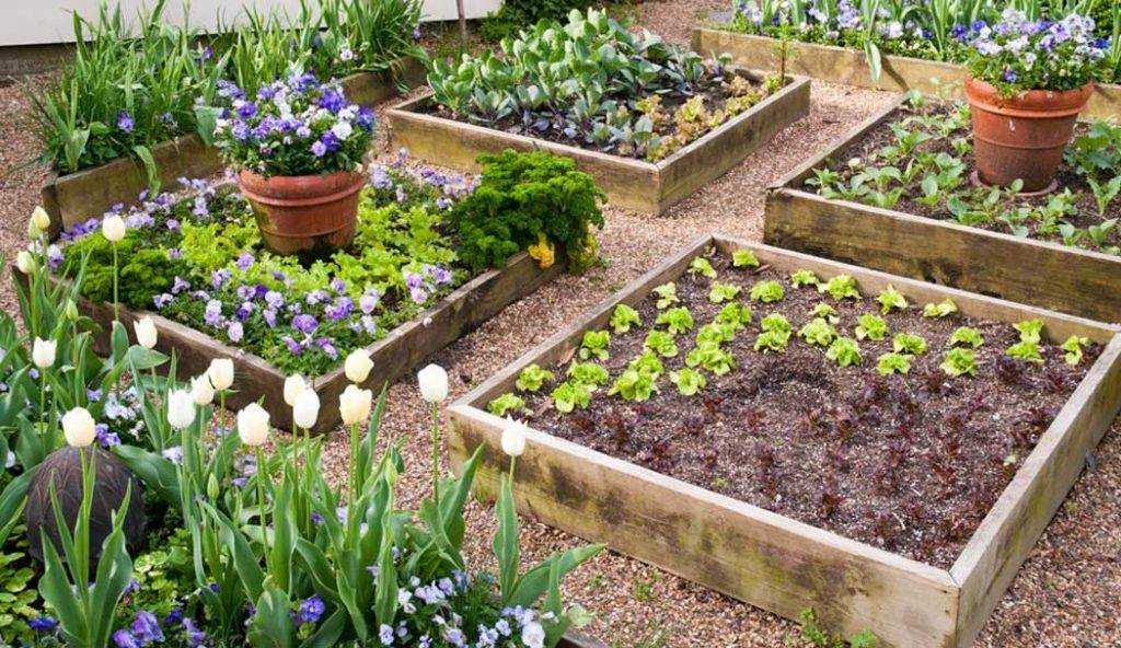 Raised Beds For Gardens