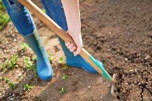 Gardening Shoes For Women- Female in blue wellington boots