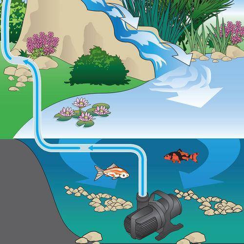 Fish Pumps for Ponds - Submersible Pump Working Diagram