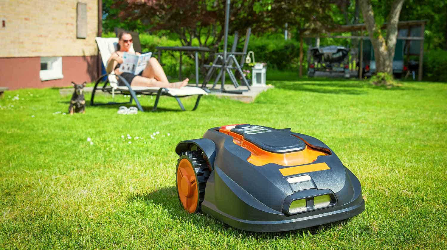 Robotic Lawn Mowers Cutting Grass