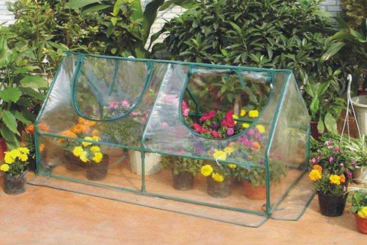Small-Plastic-Greenhouses with colourful flowers