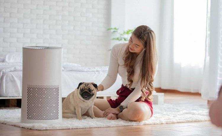 HEPA Air Filters for the House and Home
