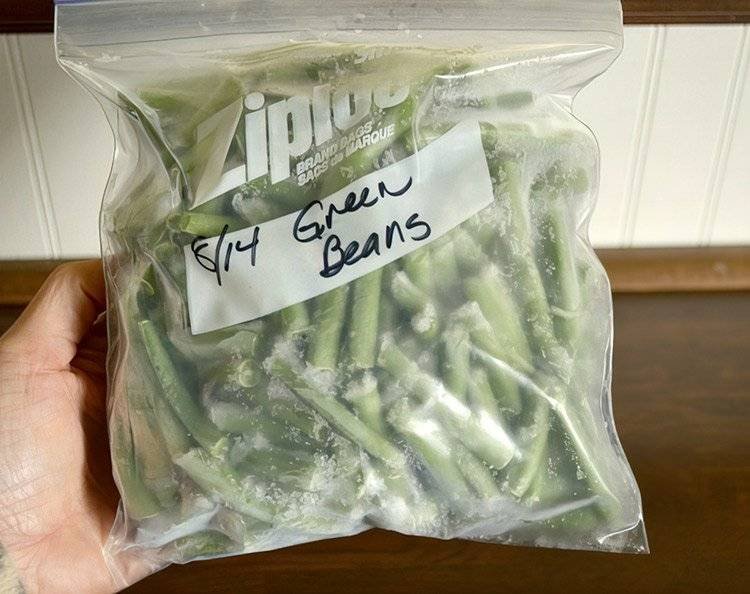 How-to-Freeze-Runner-Beans--Runner-Beans-in-Ziplock-Bag