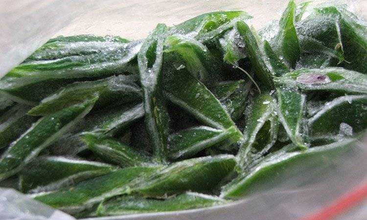 How to Freeze Runner Beans