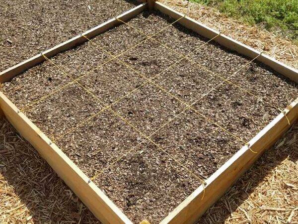 Square Planting Example Square Planting In 8 Easy Steps | Garden Junkie