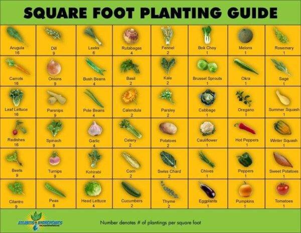 Square Planting Example Square Planting In 8 Easy Steps | Garden Junkie