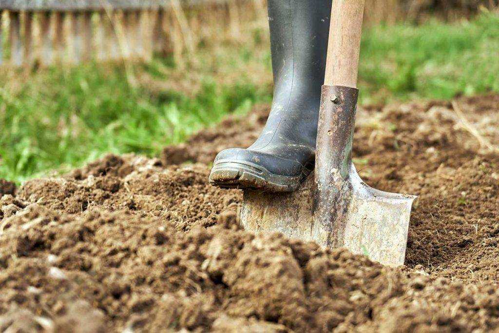 Soil Improver for Clay Soil - Wellington boot and spade in the ground