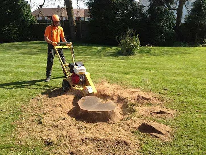 How to Dig Out a Tree Stump- Tree Stump Grinding