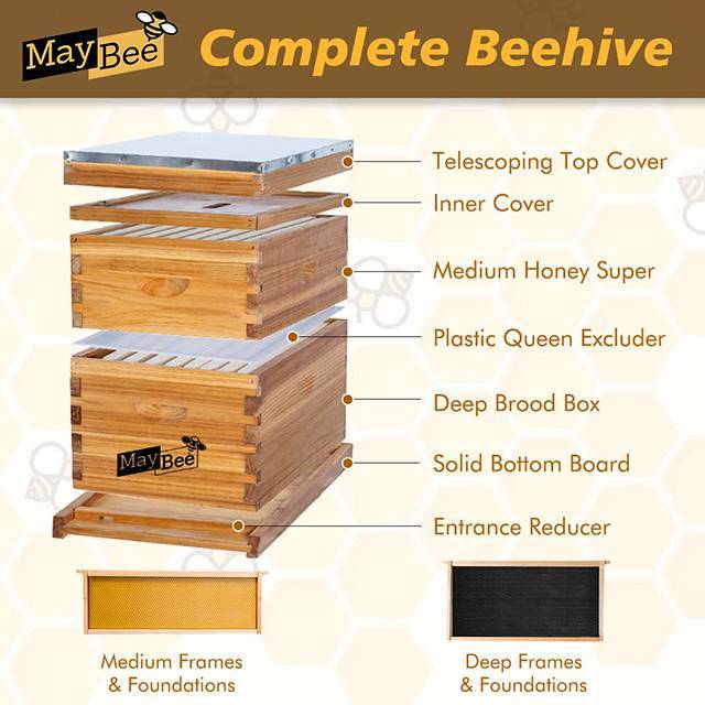 Langstroth Wooden Beehive - How to Start Bee Keeping