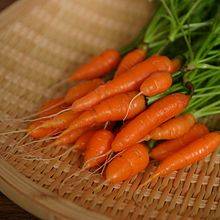 Early Carrots