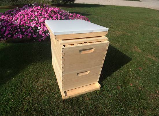 2 Box Langstroth-Beehive