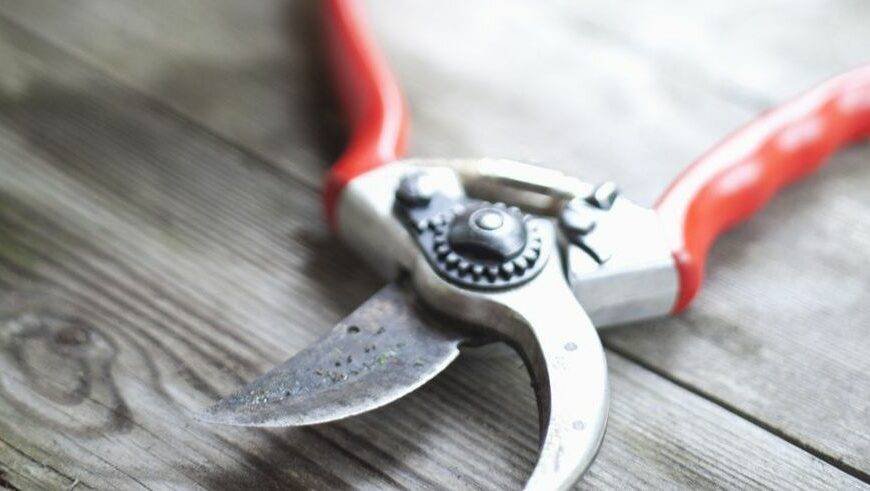 best left handed secateurs