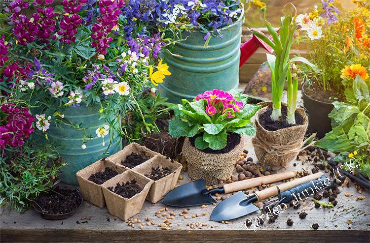 Spring Flowers- Gardening Month By Month - March