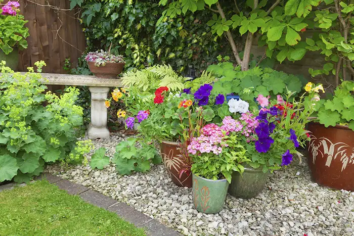 Attracting-Wildlife-with-Flowering-Plants-in-Pots