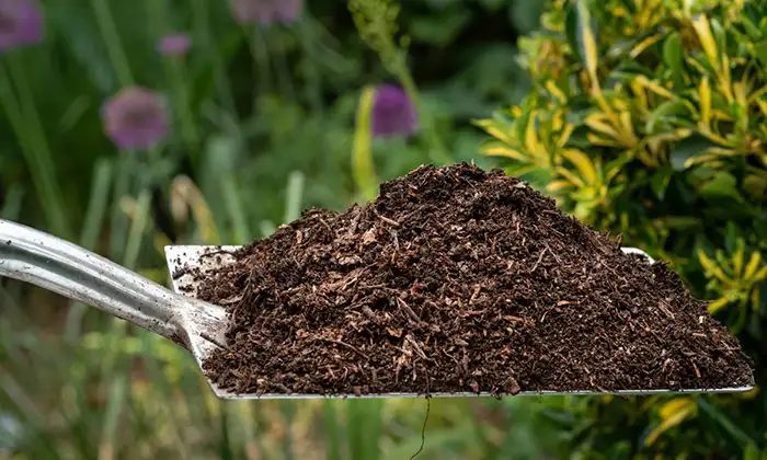 Spread Compost Mulch