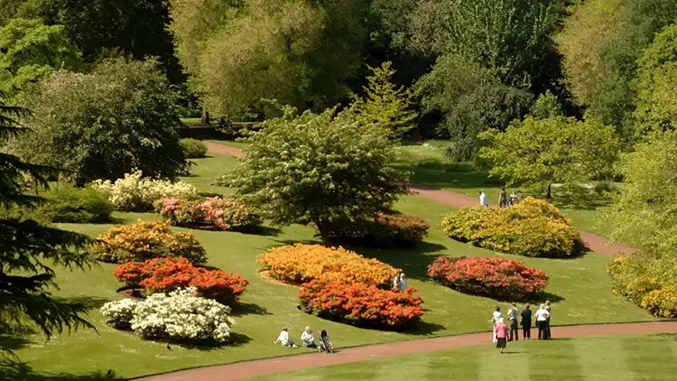 Royal Botanic Garden Edinburgh - Gardens in Summer