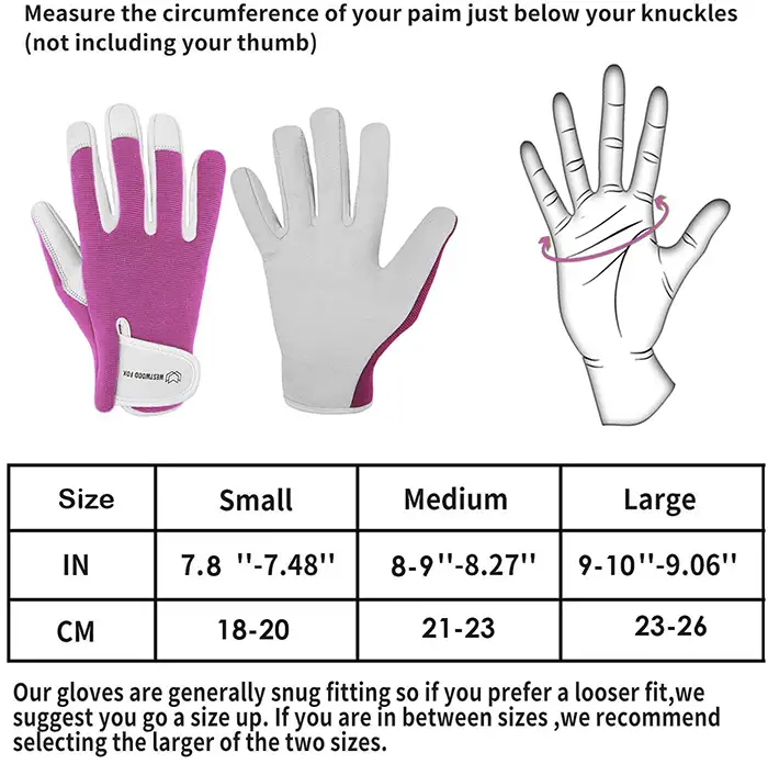 NickyPicky Sizes