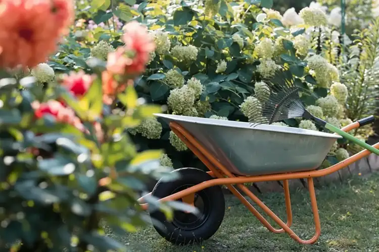 September Gardening - Wheelbarrow