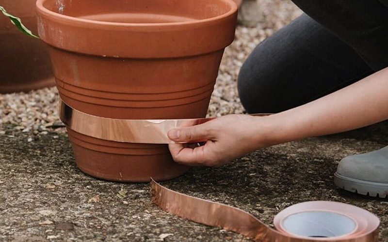 how to stop slugs eating plants - Copper tape around a plant pot