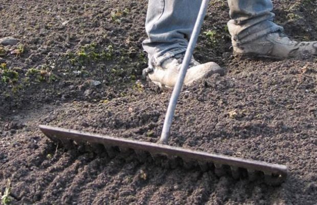 How to Lay Turf - Person Raking the Ground in Preparation