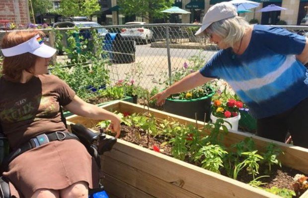 Raised-Beds-For-Gardens--Disabled-and-Elderly